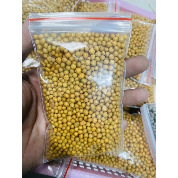 PHÂN TAN CHẬM VÀNG/XÁM CHO SEN ĐÁ, XƯƠNG RỒNG