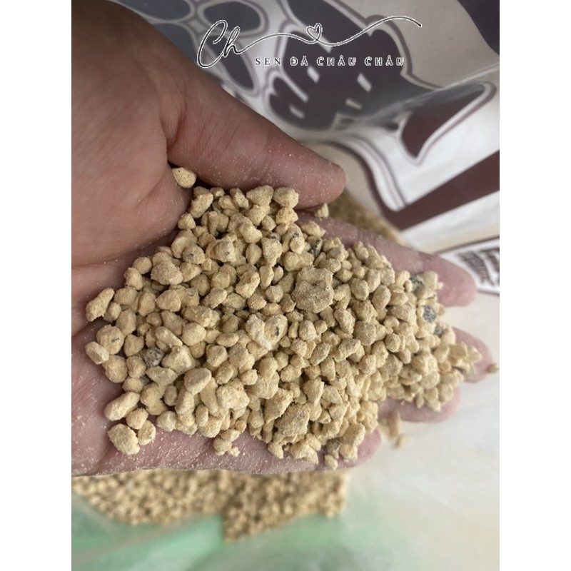 200Gram ĐÁ KANUMA 3-5mm - Giá thể trồng sen đá, xương rồng.