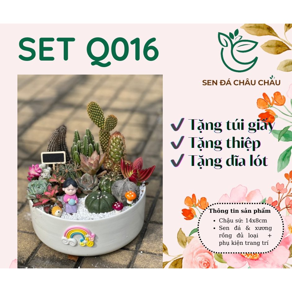 (HỎA TỐC+Thiệp+Túi) Set Quà Tặng Sen Đá - Xương Rồng Dễ Chăm Sóc, Quà Tặng Ý Nghĩa, Workshop sen đá