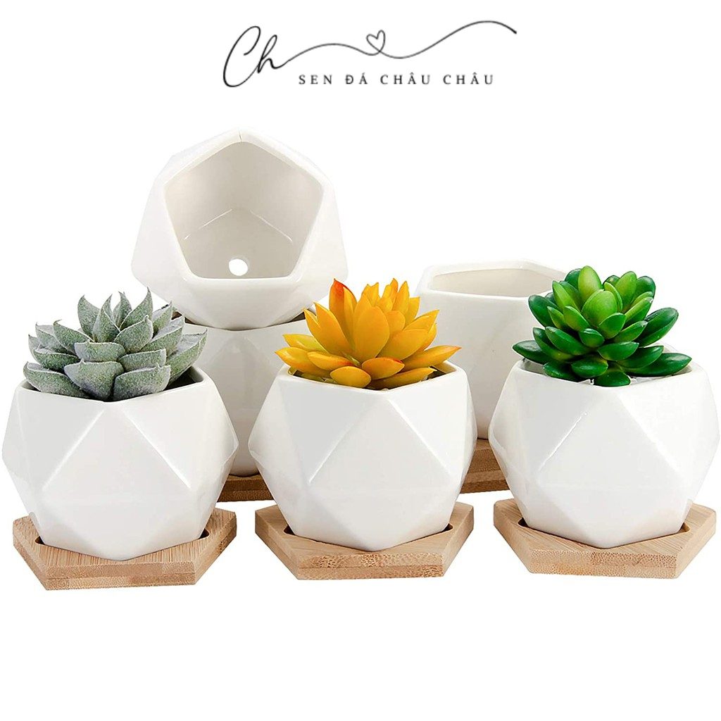 Chậu Sứ Bát Tràng Hoạ Tiết Trơn 8x7 cm